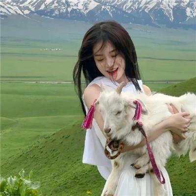 野狼历险记5：家族之旅