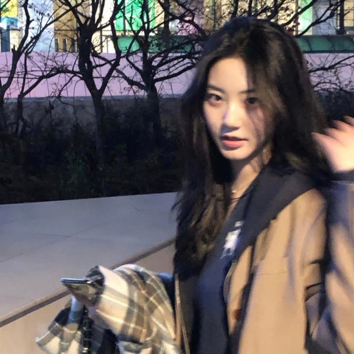 尼姆的实验